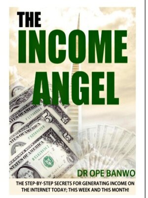 cover image of THE INCOME ANGEL